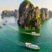 Top 15+ Địa Điểm Du Lịch Vịnh Hạ Long đẹp bậc nhất Việt Nam