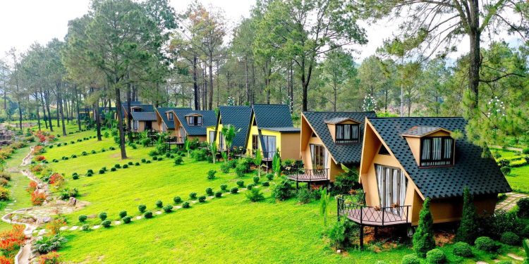 Kinh nghiệm du lịch Côn Đảo – Khám phá Đảo Ngọc từ A đến Z