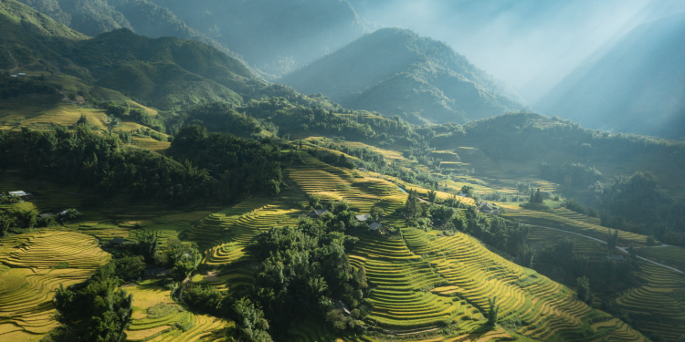 Top 7+ cung đường trekking view đẹp nhất Việt Nam, bạn nên khám phá và trải nghiệm một lần trong đời