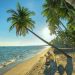 Du Lịch Phan Thiết: Khám phá địa điểm mới nổi tại Phan Thiết Mũi Né.