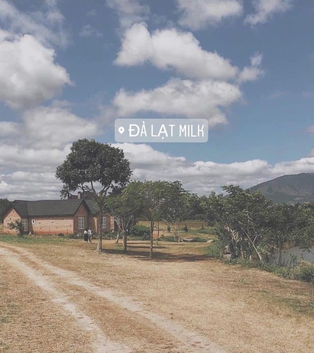 Đà Lạt Milk - địa điểm du lịch Đà Lạt Đà Lạt Milk - địa điểm du lịch Đà Lạt