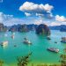 Du Lịch Hạ Long Bay: Kinh nghiệm và những điều cần biết khi đi tự túc