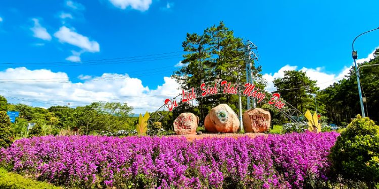 Du Lịch Măng Đen: Địa điểm khám phá mới tại Tây Nguyên, được ví như Đà Lạt Thu Nhỏ