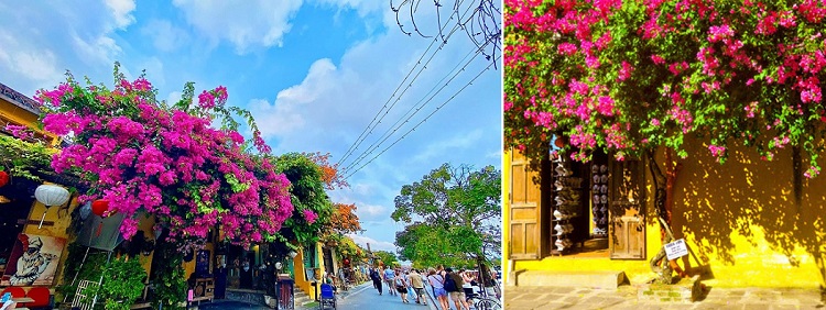 kinh nghiệm du lịch Hội An tự túc