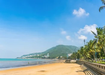 Du Lịch Vũng Tàu: Lịch trình cơ bản du lịch Vũng Tàu 2 ngày 1 đêm