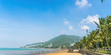 Du Lịch Vũng Tàu: Lịch trình cơ bản du lịch Vũng Tàu 2 ngày 1 đêm