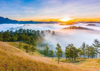 Thung Lũng Vàng Đà Lạt – chốn thơ mộng giữa lòng cao nguyên