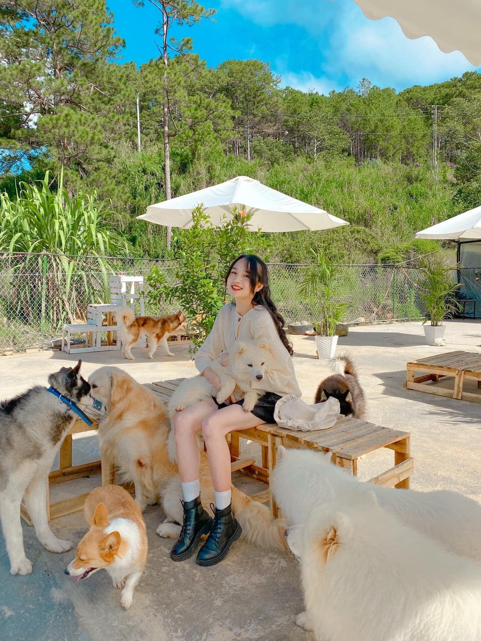 Thỏa sức chơi đùa cùng các em cún. Hình: Sưu tầm