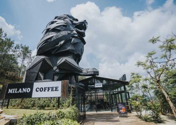 Có một MILANO COFFEE ẩn mình giữa núi rừng Đà Lạt