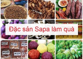 Sapa có đặc sản gì làm quà? Mua gì làm quà khi đi du lịch Sapa?
