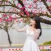 Địa điểm sống ảo đẹp mê hồn tại Sa Pa dịp cuối năm