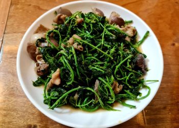 Rau gai của người vùng cao