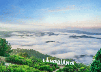 Kinh nghiệm khi thuê xe máy ở Đà Lạt bạn cần biết