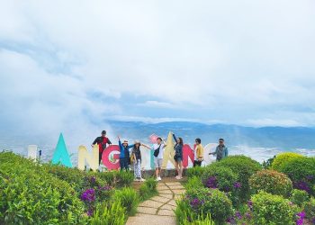 Top 7 tour Đà Lạt đa dạng trải nghiệm cho kỳ nghỉ 30/4 đáng nhớ