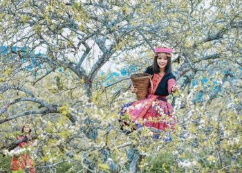 Khám phá cảnh đẹp Sapa mùa Xuân về