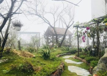 Đi Sapa nên ở Khách sạn hay Homestay?