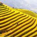 Khám phá vẻ đẹp Sapa mùa lúa chín
